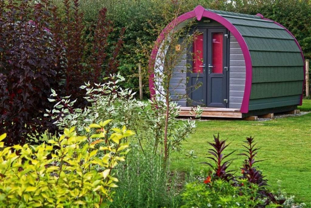 Belle Vista Glamping & Camping 约克 外观 照片