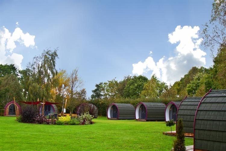 Belle Vista Glamping & Camping 约克 外观 照片